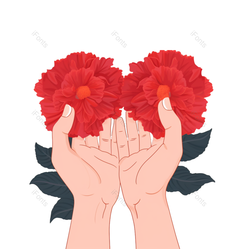 插画图片,花朵元素,鲜花PNG,感恩节免抠素材